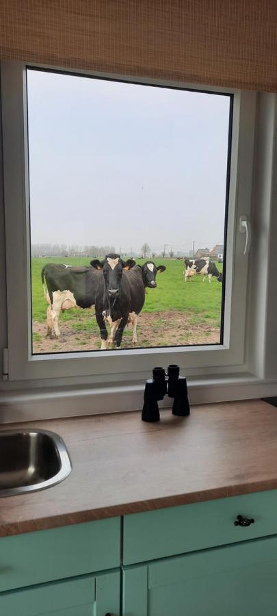 La Vache Au Lit Villa Даме Екстериор снимка