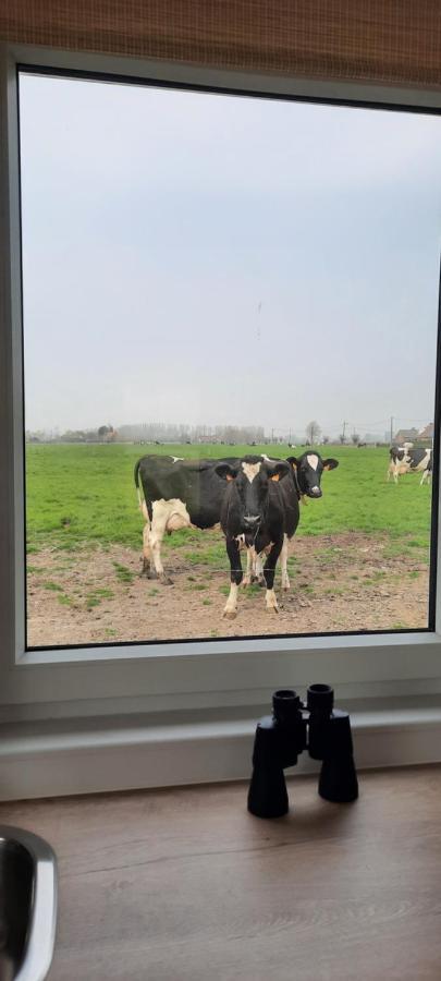 La Vache Au Lit Villa Даме Екстериор снимка
